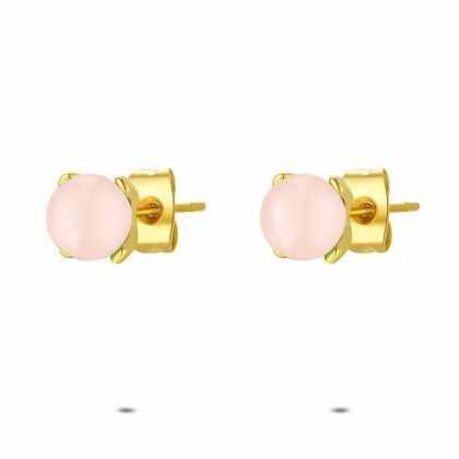 Boucles D’oreilles | Boucles D’Oreilles en Acier Poli Couleur Or, Rose Rose – Femmes Bijoux Boucles D'oreilles